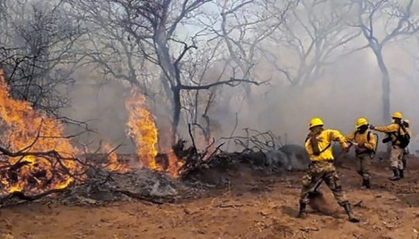 AFIP instrumenta medidas de alivio para zonas afectadas por incendios forestales - Télam