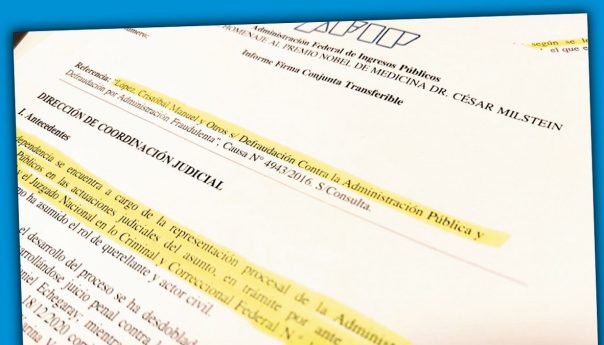 Contundente informe de AFIP con testimonios, procedimientos y documentos derrumban acusación contra Oil por planes
