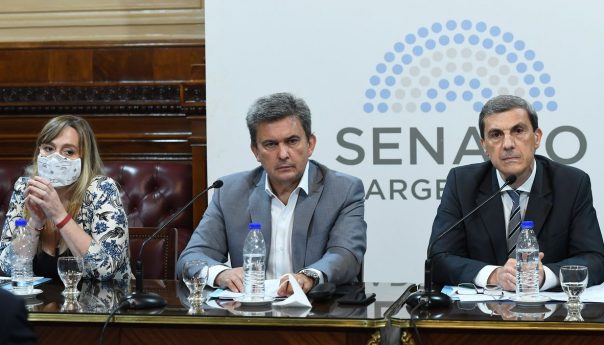 El Senado aprobó en comisión las modificaciones del Impuesto a los Bienes Personales