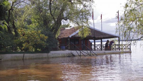 quiénes pueden solicitar beneficios fiscales de AFIP