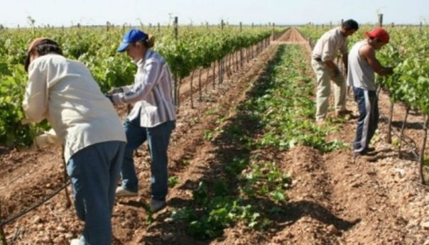 5 claves del nuevo régimen de inclusión y promoción del trabajo independiente