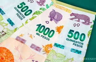 ¿Cuánto es el monto del Salario Familiar por Hijo 2023?
