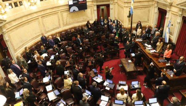 Senado aprobó con cambios el proyecto y deberá volver a Diputados