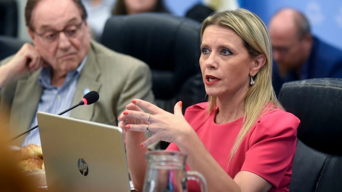 Claudia Balestrini subsecretaria de Ingresos Pblicos Foto prensa Diputados