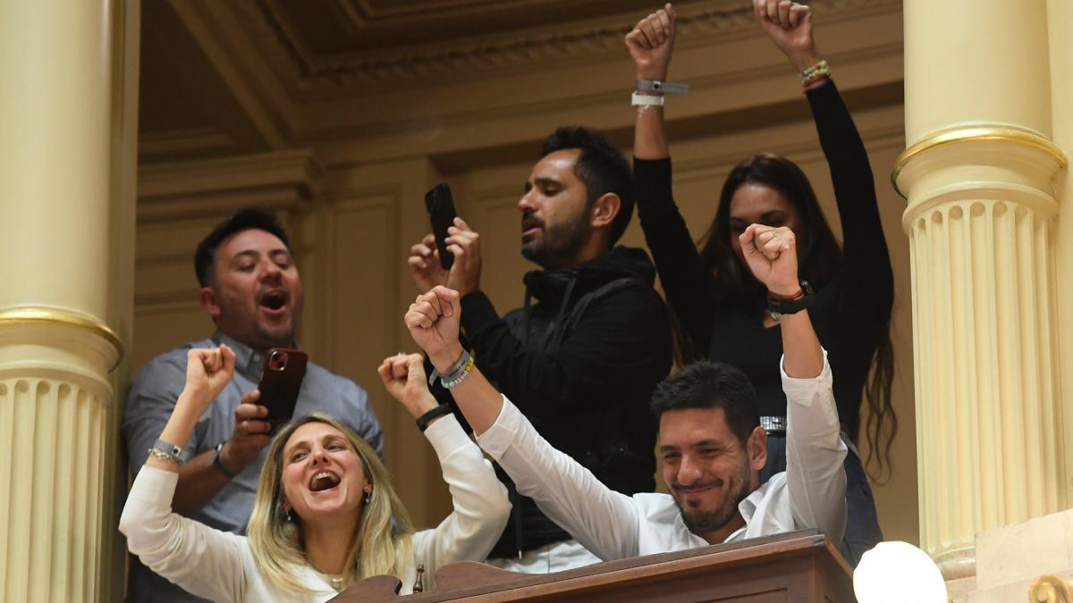 La aprobacin en el Senado Foto Luciano Ingaramo