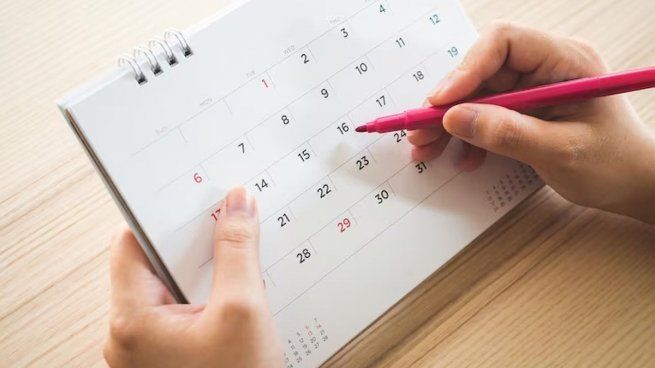 AFIP publicó las fechas previstas para cobros de impuestos de enero 2024.