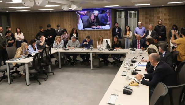 Mientras avanzan acuerdos en ley bases, diputados discutieron la reforma laboral