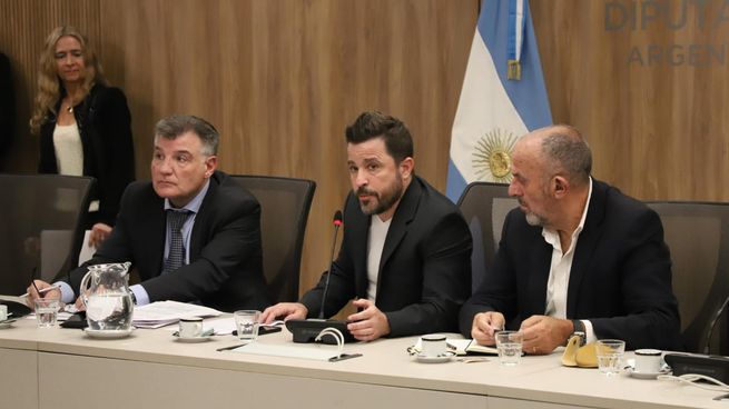 Martín Tetaz presidirá la Comisión de Legislación del Trabajo. A su izquierda el rionegrino Sergio Capozzi, vicepresidente segundo.