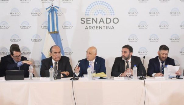 qué cambios aceptó el Gobierno para destrabar el proyecto en el Senado