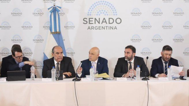 Senado comisiones ley bases.jpeg