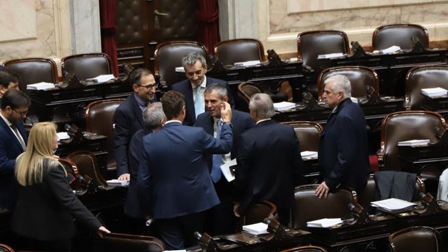 Martín Menem, presidente de la Cámara de Diputados.