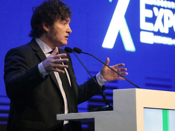 El oficialismo busca aprobar la ley Bases tras las modificaciones del Senado.&nbsp;