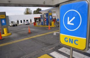 cuáles son las zonas más afectadas