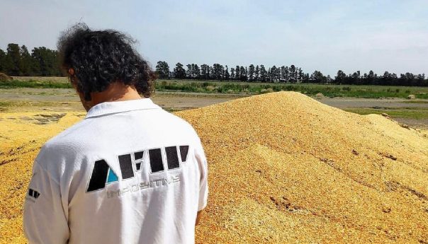 La AFIP incautó más de 5.000 toneladas de granos con un valor estimado de $1.320 millones
