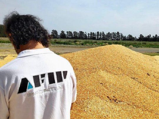 La AFIP incautó más de 5.000 toneladas de granos.