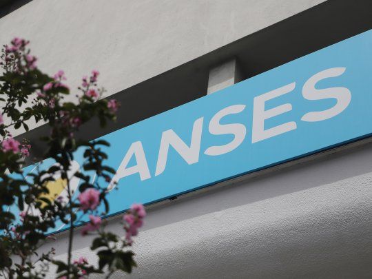 ANSES oficializó la medida a través de la Resolución 990/2024