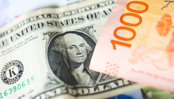 qué cambios se analizan para hacer pagos en dólares (incluídos salarios)