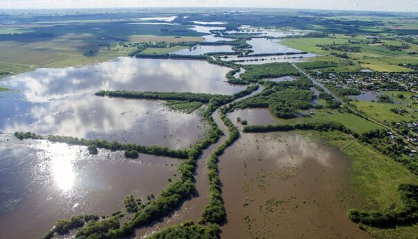 La provincia de Buenos Aires exime del pago de impuestos a productores de distritos afectados por las inundaciones